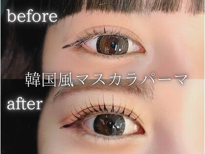 ノエルリタ(Noel rita)の写真