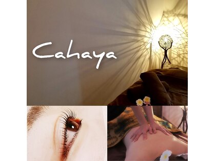 チャハヤ(Cahaya)の写真
