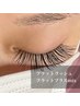 【Mix 100本】フラットラッシュ60本＋フラットプラス20束（40本）