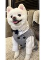 リッチ トゥ 多治見店(Rich to)&nbsp;愛犬の「ぽぽのすけ」です☆
