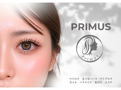 プリムス(Primus)の写真