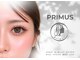 プリムス(Primus)の写真