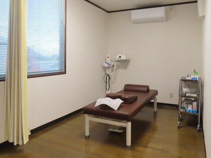 エバーグリーン(EVERGREEN)の写真