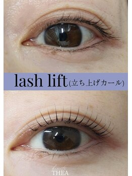 シーア ボーテ アイラッシュ(THEA beaute eyelash)/ラッシュリフト【立ち上げカール