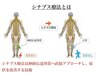 【シナプス整体】首・肩こり・腰痛・自律神経を整える☆55分/6800円