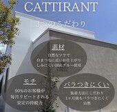 カティロン(CATTIRANT)