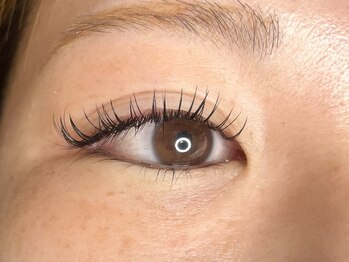 ラシク ベル(Lashiku Belle)/フラットラッシュ