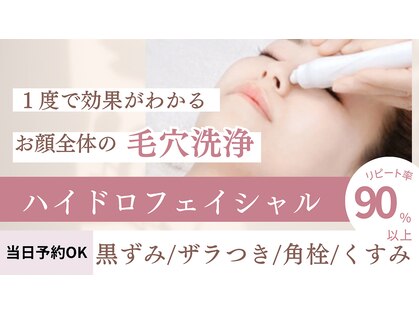 シュシュ(Chou Chou)の写真