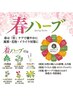 【春限定ブレンド】黄土よもぎ蒸し ¥5500→4400