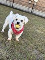 クリアボックス(Clear box) 愛犬の部長君(ブチョウ)です!笑