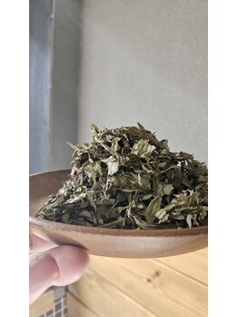 ミホズルーム(Miho‘s room)/よもぎは3種類