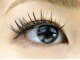 ヴェルデ エステティックアンドアイラッシュ 川崎店の写真/セーブル使用のまつ毛エクステ付け放題コースで、どこから見てもボリュームたっぷりの美しい瞳に変身！！