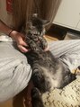 サリーエミリー(Sally Emiry)&nbsp;実家の猫様が可愛すぎてます、、、、