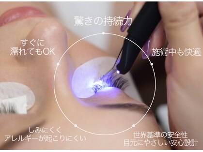 スターリー ラッシュ(Starry Lash)の写真