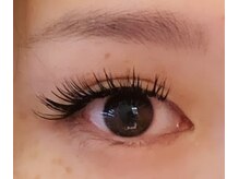 アプリコット(apricott)/【バインドロック】140束 ¥6000