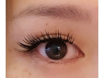 アプリコット(apricott)/【バインドロック】140束 ¥6000