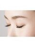 ≪学割U24≫眉毛アイブロウWAXスタイリング＋次世代まつ毛パーマ￥13000
