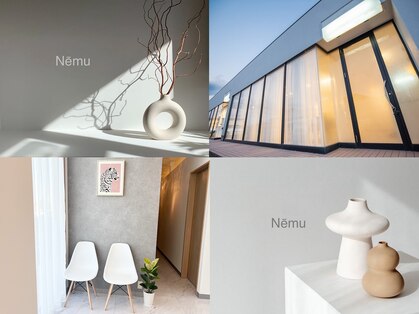 ネーム(Nemu)の写真