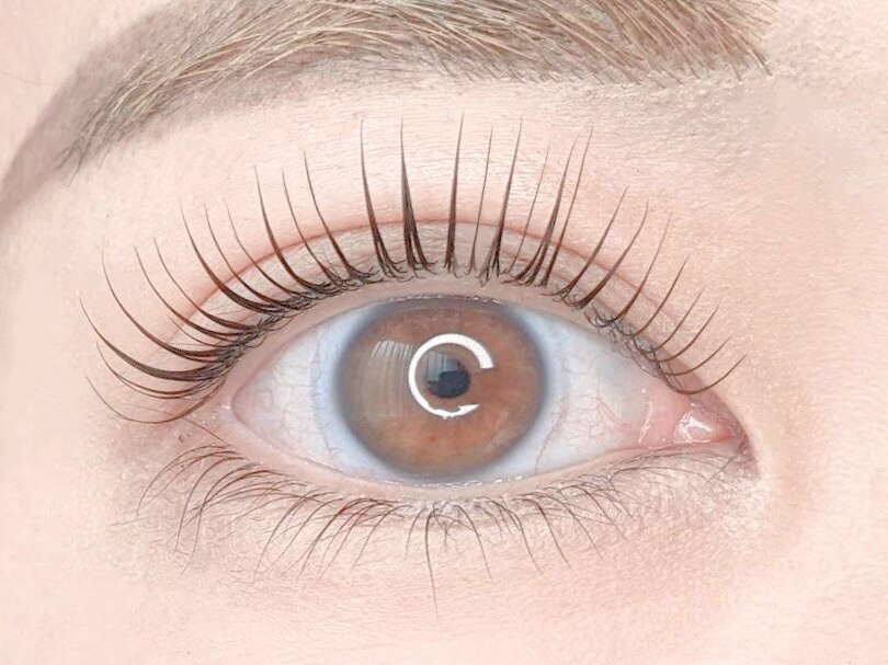 【毎日をもっとラクに♪】高持続×上質◎LEDフラットラッシュ120本\9300