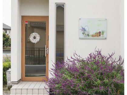 お肌のここちの写真