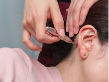 シンメトリー 熊本