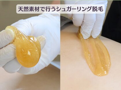 シュクル(SUCRE)の写真