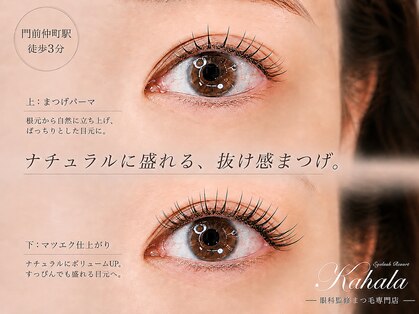 アイラッシュリゾート カハラ 門前仲町店の写真