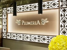 プルメリア 久留米店(PLUMERIA)/エリア有数の華やか空間
