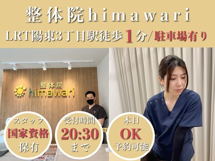 整体院 ヒマワリ(himawari)の写真