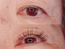 アポストロフィエス/フラットラッシュ120本