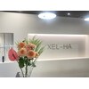 シェルハ(XEL-HA)のお店ロゴ