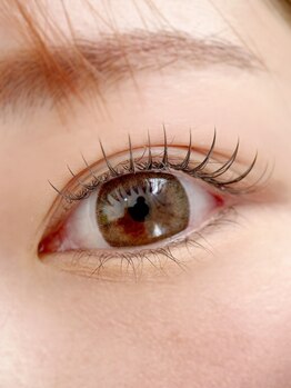 ムニ(muni)/LEDフラットラッシュ120本