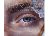 【トレーニングクーポン】LEDエクステ120本 セーブル￥2980・フラット￥3980