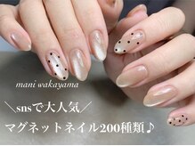 マァニ(mani)の雰囲気(飽きない、何回もやりたいと大人気のマグネットは種類が豊富♪)