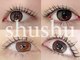 シュシュ(shushu)の写真