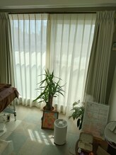 美果月/景色と観葉植物と光で目を癒す