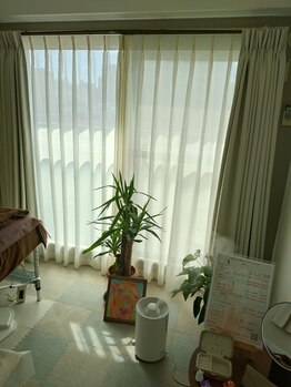 美果月/景色と観葉植物と光で目を癒す