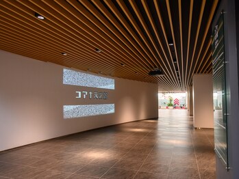 レーブ(ReVe)/プロジェクションマッピング側