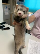 サロン ド ボンヴォ(°C Bonvo)&nbsp;長濱 孝一