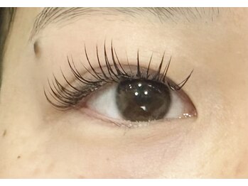 リグ(rig')/LEDフラットセーブルラッシュ