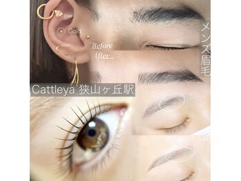 カトレア(Cattleya)