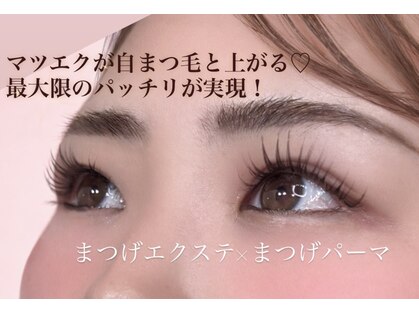 ウィンク(WINK)の写真