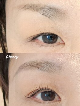 チェリー(Cherry)/眉毛Wax&まつ毛パーマ