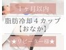  痩身|１ヶ月以内【脂肪冷却・腹】おなか4カップ×脂肪分解ジェル付☆痩身