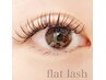 【何度でも】フラットラッシュ付け放題（160本保証）