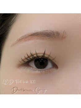 ベリール 南平岸店(Be'Leel)/LED160