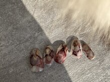 トータル ビューティ ケイハン(KEIHAN)/1月ニュアンス定額