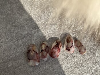 トータル ビューティ ケイハン(KEIHAN)/1月ニュアンス定額