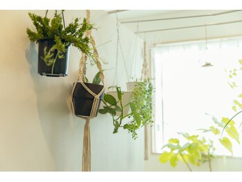 ミモザ(mimosa)/店内は観葉植物が青々と茂る