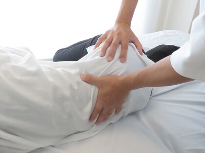 ノーマルボディの写真